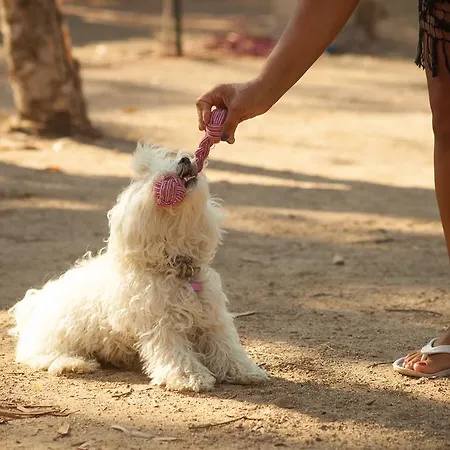 Кемпинг Village Capo D'orso 3*